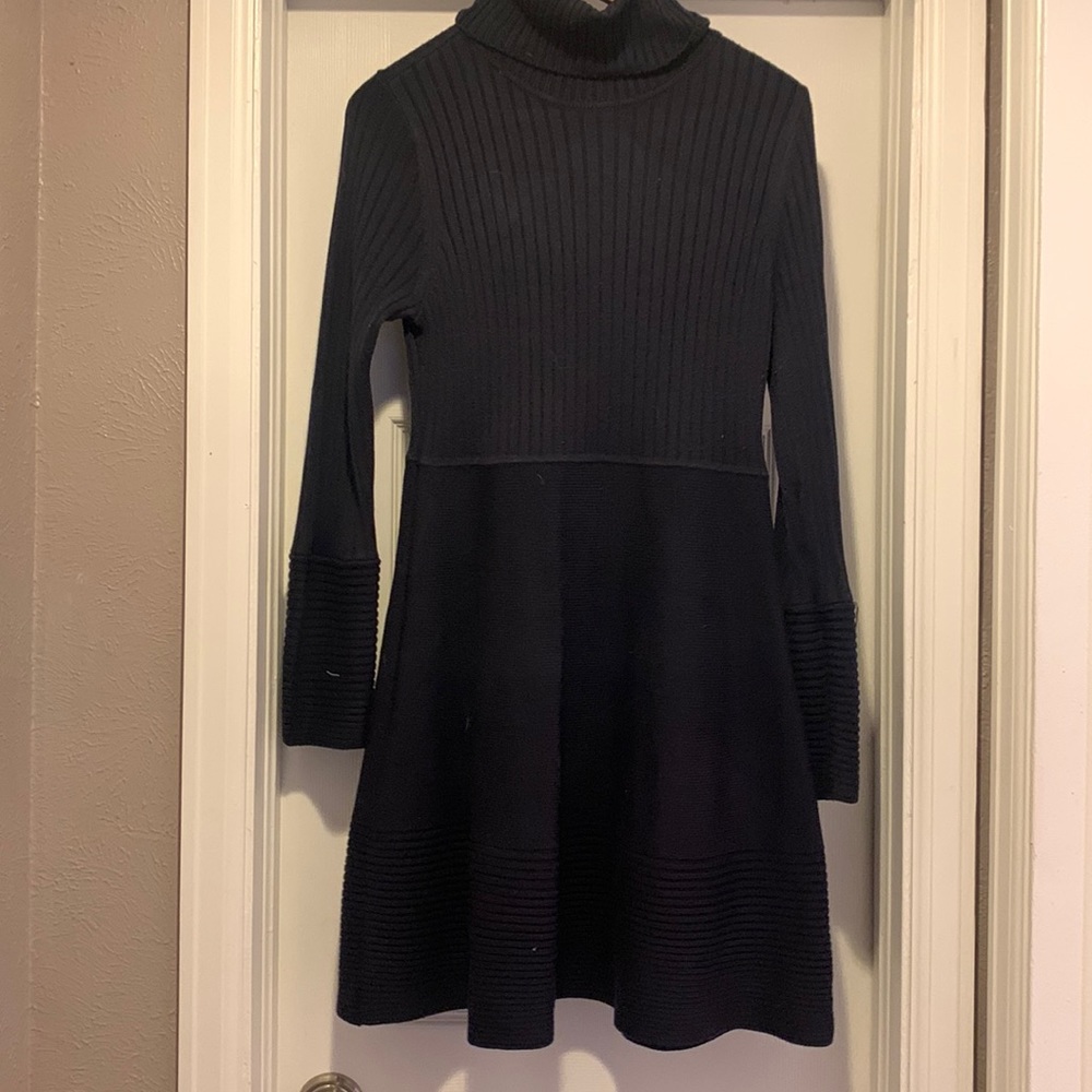 Eliza J Long Sleeve Turtleneck Fit and Flare Sweater Dress